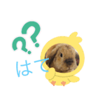 ろい吉3（個別スタンプ：5）