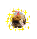 ろい吉3（個別スタンプ：9）