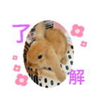 ろい吉3（個別スタンプ：16）