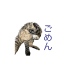 レオナルド・だ・しめじ（個別スタンプ：7）