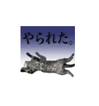 レオナルド・だ・しめじ（個別スタンプ：14）
