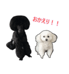 ネロとチビの愛犬スタンプ（個別スタンプ：1）
