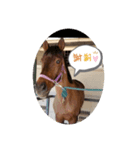 可愛く面白い馬3（個別スタンプ：7）