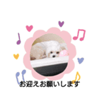 お迎えお願いします（個別スタンプ：8）