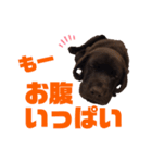 せぶのいもうと あるゔぁ（個別スタンプ：8）