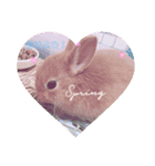 Love♡A＆A（個別スタンプ：2）