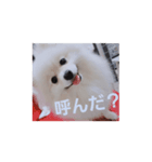 ～もこちゃんスタンプ～（個別スタンプ：4）