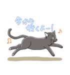 表情豊かな黒ねこ（個別スタンプ：4）