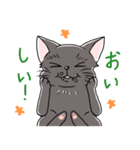 表情豊かな黒ねこ（個別スタンプ：10）