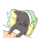 表情豊かな黒ねこ（個別スタンプ：18）