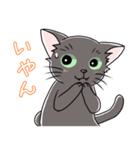 表情豊かな黒ねこ（個別スタンプ：20）