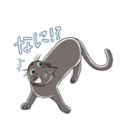 表情豊かな黒ねこ（個別スタンプ：21）