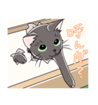 表情豊かな黒ねこ（個別スタンプ：25）