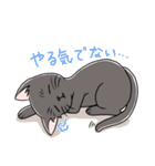 表情豊かな黒ねこ（個別スタンプ：26）