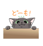 表情豊かな黒ねこ（個別スタンプ：32）