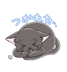 表情豊かな黒ねこ（個別スタンプ：33）