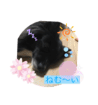 さつきちゃんのスタンプ♡（個別スタンプ：3）