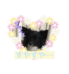 さつきちゃんのスタンプ♡（個別スタンプ：4）