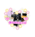 さつきちゃんのスタンプ♡（個別スタンプ：5）