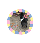 さつきちゃんのスタンプ♡（個別スタンプ：10）