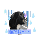 さつきちゃんのスタンプ♡（個別スタンプ：24）