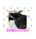 さつきちゃんのスタンプ♡（個別スタンプ：29）