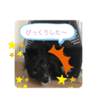 さつきちゃんのスタンプ♡（個別スタンプ：32）