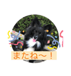 さつきちゃんのスタンプ♡（個別スタンプ：38）