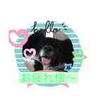 さつきちゃんのスタンプ♡（個別スタンプ：39）