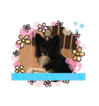 さつきちゃんのスタンプ♡（個別スタンプ：40）