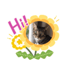 ラムちゃんスタンプ♪（個別スタンプ：2）