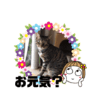 ラムちゃんスタンプ♪（個別スタンプ：3）