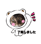 ラムちゃんスタンプ♪（個別スタンプ：12）