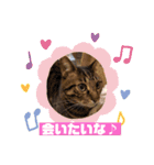 ラムちゃんスタンプ♪（個別スタンプ：17）