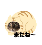 ラムちゃんスタンプ♪（個別スタンプ：22）