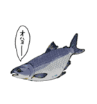 おいしい魚介類たち（個別スタンプ：1）