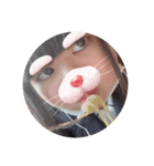 せいら 可愛い（個別スタンプ：5）