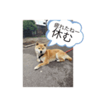 かなとフレンド（個別スタンプ：4）