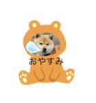 かなとフレンド（個別スタンプ：10）