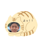 かなとフレンド（個別スタンプ：11）