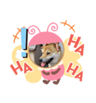 かなとフレンド（個別スタンプ：12）