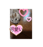 かなとフレンド（個別スタンプ：19）