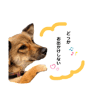 pocky"（個別スタンプ：8）