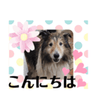 ジャスティーくん（個別スタンプ：1）