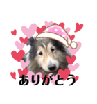 ジャスティーくん（個別スタンプ：3）