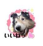 ジャスティーくん（個別スタンプ：4）