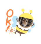 ジャスティーくん（個別スタンプ：11）