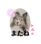 ジャスティーくん（個別スタンプ：13）