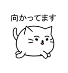 ふかふか猫（個別スタンプ：13）