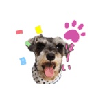 POLOくん（個別スタンプ：1）